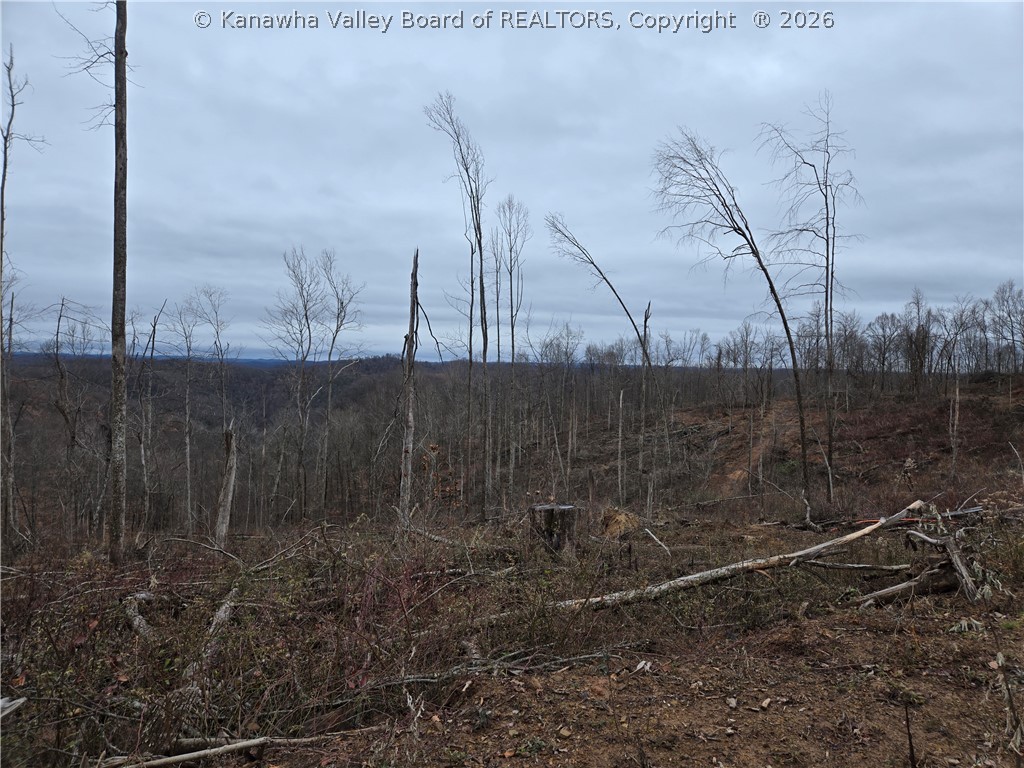 0 Beechy Road Procious, WV 25164 - Photo 26 of 29 Gallery Image 26
