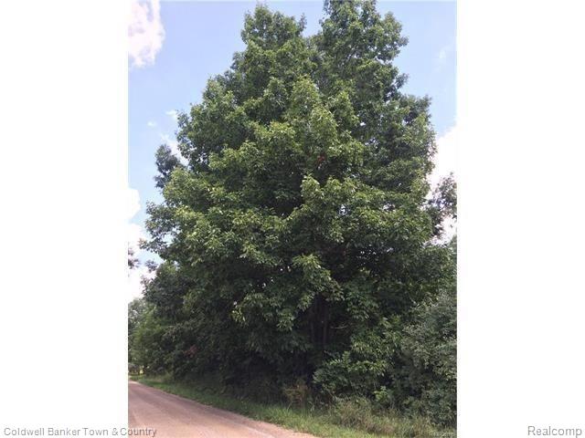 Vl North Briggsville Road Fowlerville, MI 48836 - Photo 2 of 10