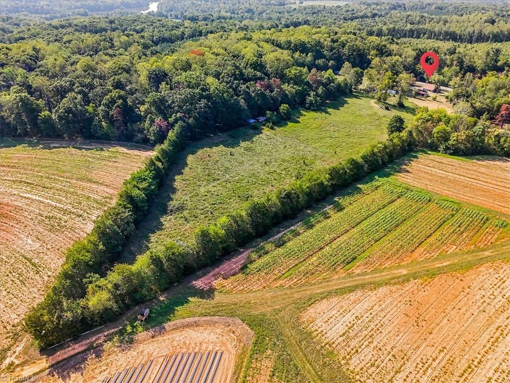 907 Irvin Farm Road Reidsville, NC 27320 - Photo 45 of 48 Gallery Image 45