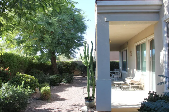 a view of backyard of the house