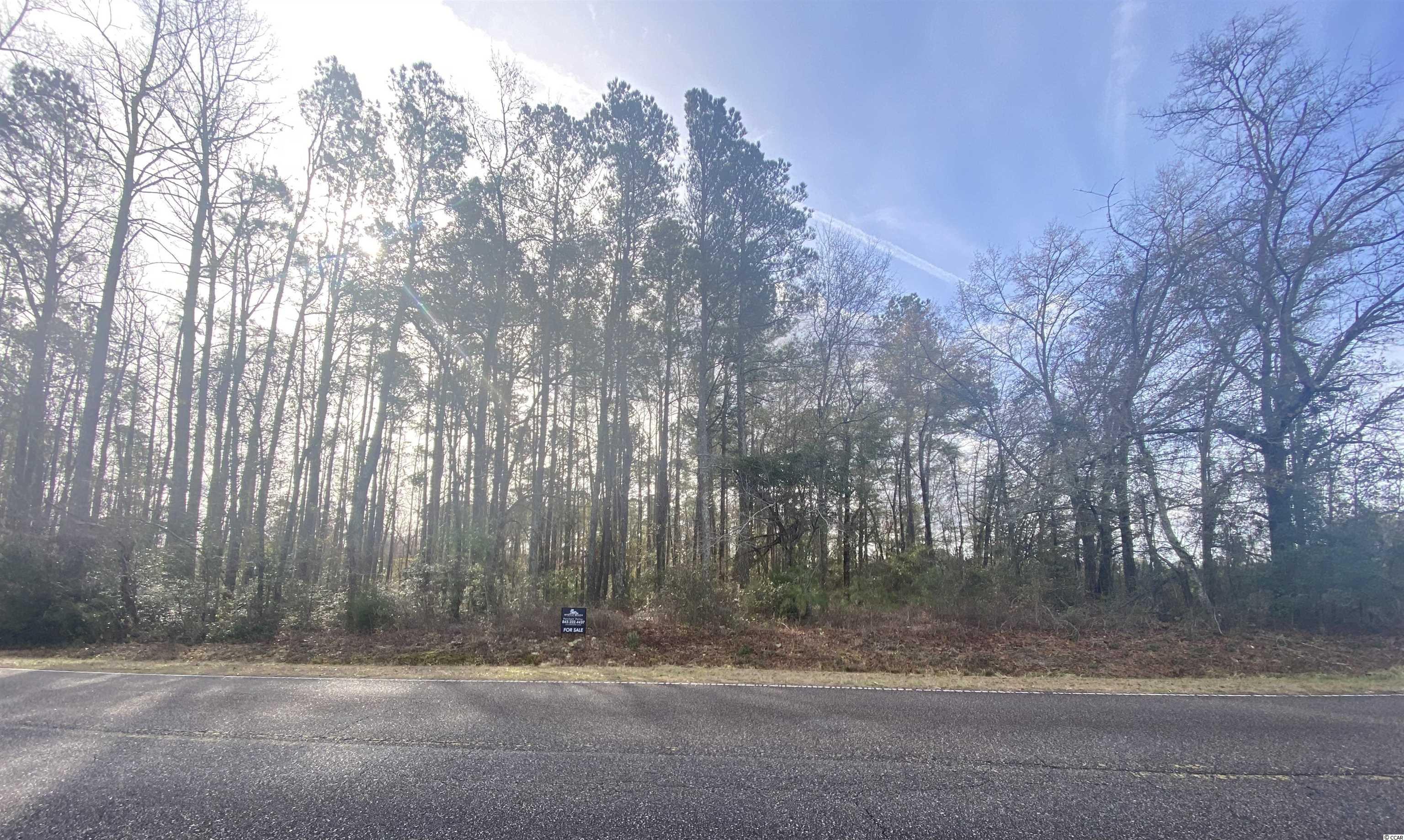1410 Colts Neck Road Loris, SC 29569 - Photo 1 of 9 Gallery Image 1