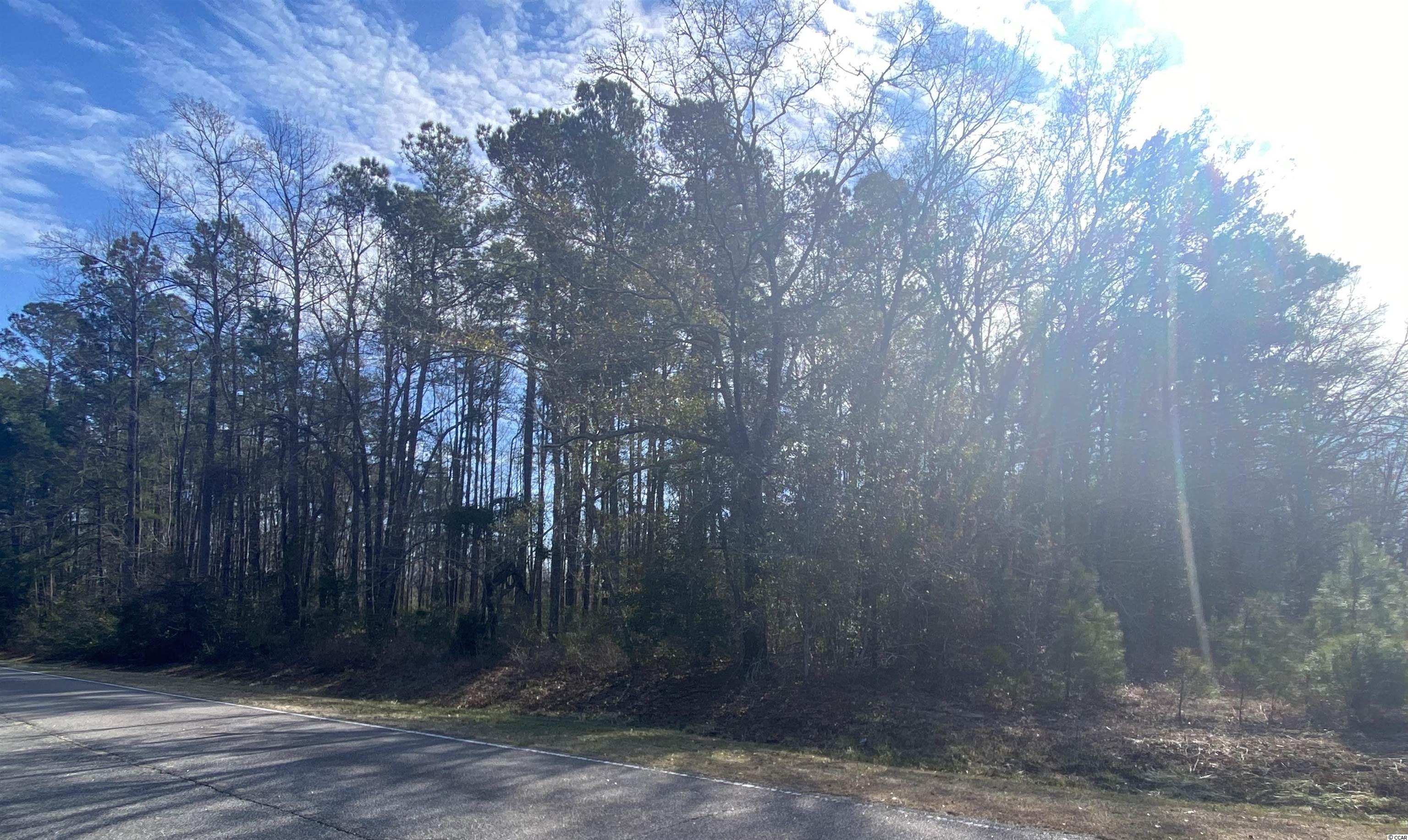 1410 Colts Neck Road Loris, SC 29569 - Photo 2 of 9 Gallery Image 2
