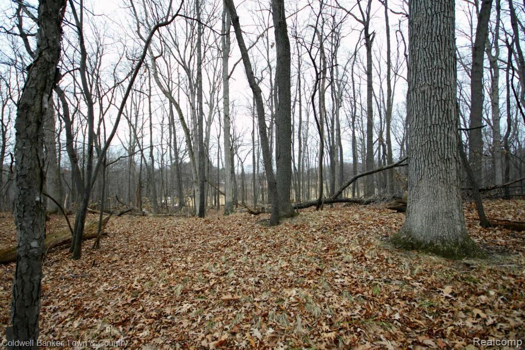 1 Shagbark Rochester, MI 48309 - Photo 12 of 17