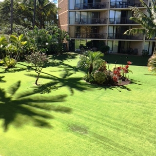 1032 South Kihei Road, Unit A203 Kihei, HI 96753 - Photo 11 of 13 a backyard of a house with lots of green space