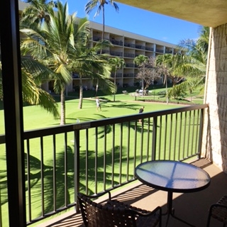 1032 South Kihei Road, Unit A203 Kihei, HI 96753 - Photo 9 of 13 a view of a chairs and table in patio with a yard