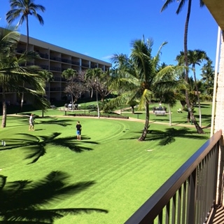 1032 South Kihei Road, Unit A203 Kihei, HI 96753 - Photo 10 of 13 a view of a park