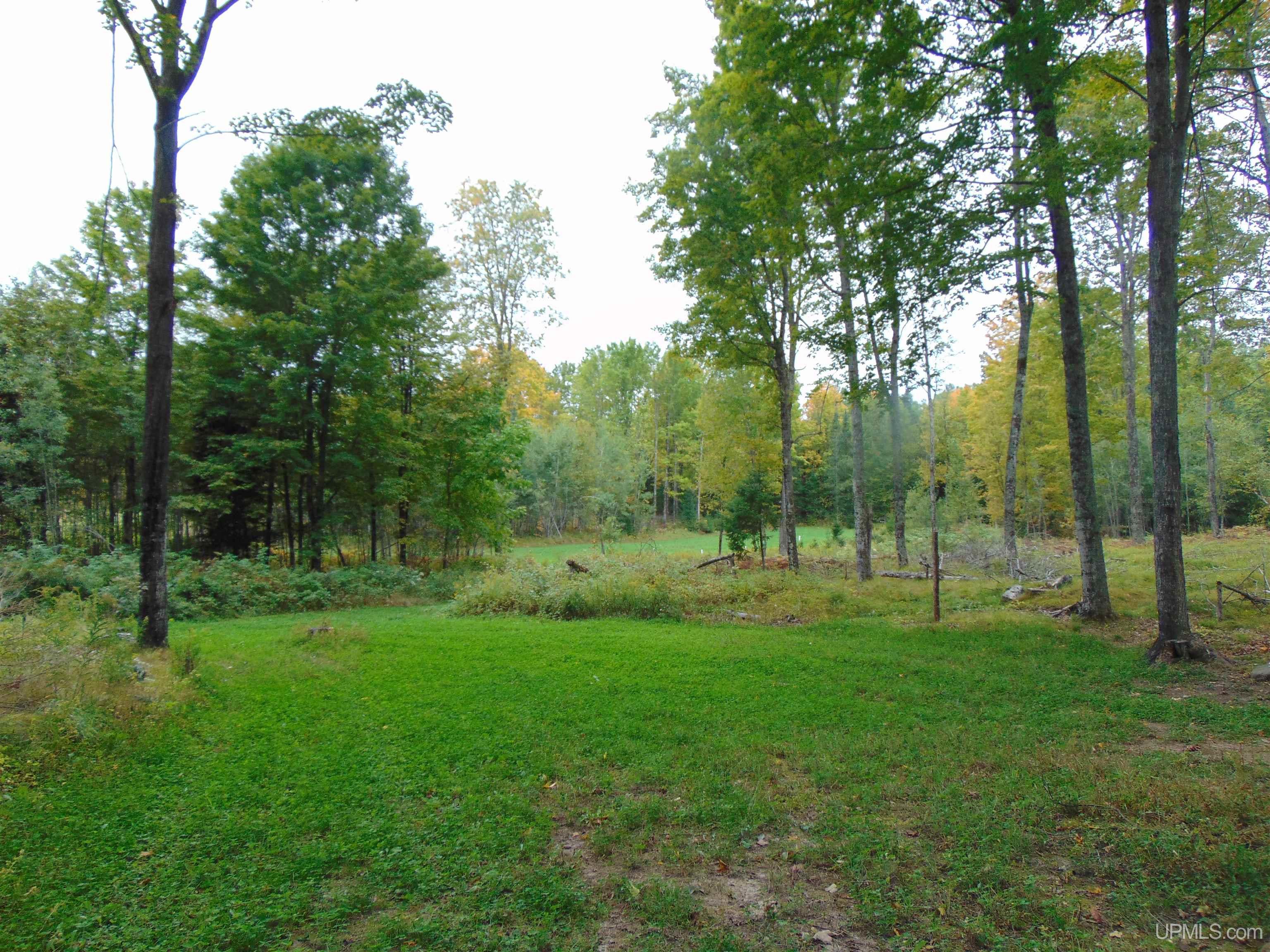 2792 County Line Road Vulcan, MI 49892 - Photo 72 of 99