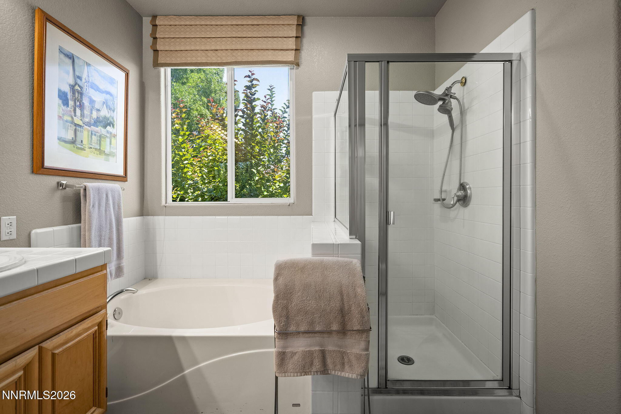 1601 Ashworth Court Reno, NV 89521 - Photo 13 of 35 12-web-or-mls-_DSC7028