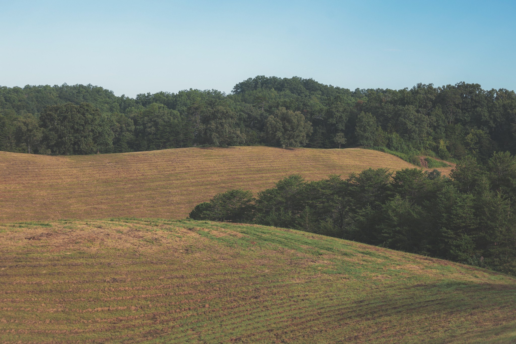 1634 Dixon Branch Road Sevierville, TN 37876 - Photo 61 of 86 Gallery Image 61