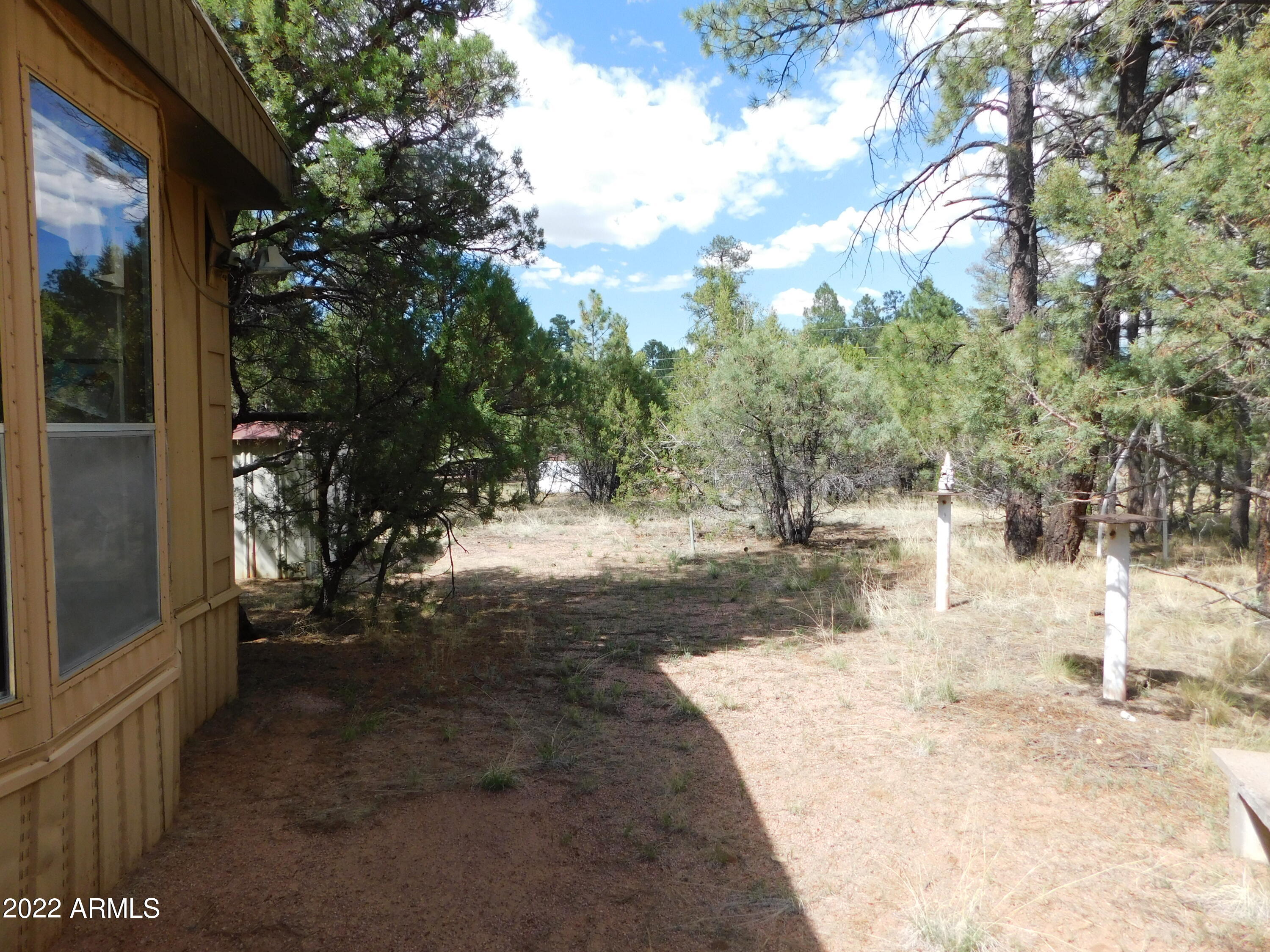 2881 Wahoo Road Overgaard, AZ 85933 - Photo 4 of 30 2016-01-01 00.00.00-75