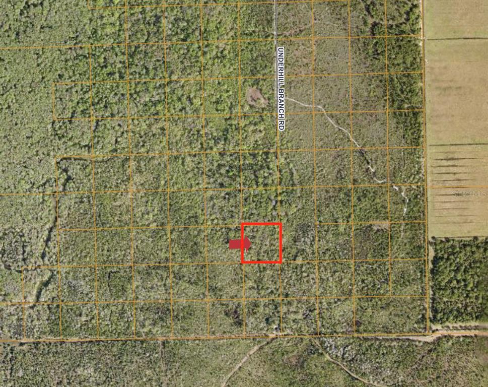 Lake Harney Road Osteen, FL 32764 - Photo 2 of 2