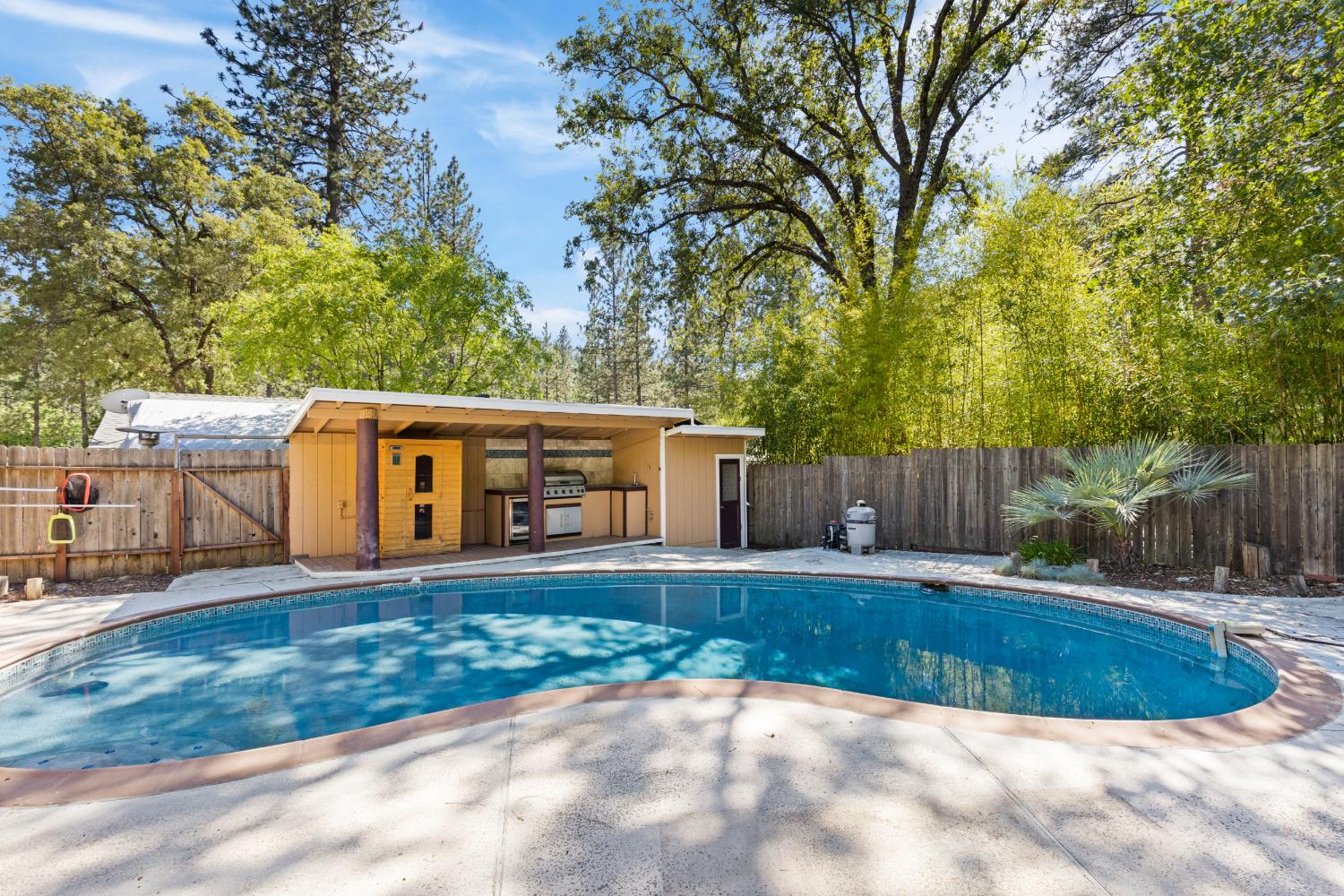 2971 Letitia Avenue Placerville, CA 95667 - Photo 16 of 65 a view of a house with pool and yard