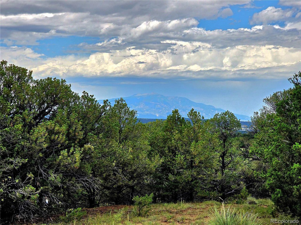 97 River Ridge Trail Walsenburg, CO 81089 - Photo 18 of 20 a view of a lake with a yard