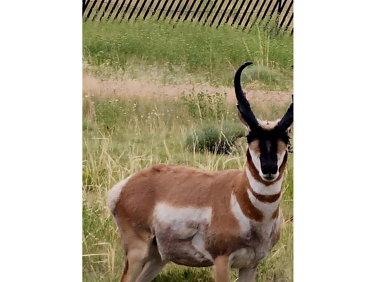 97 River Ridge Trail Walsenburg, CO 81089 - Photo 20 of 20