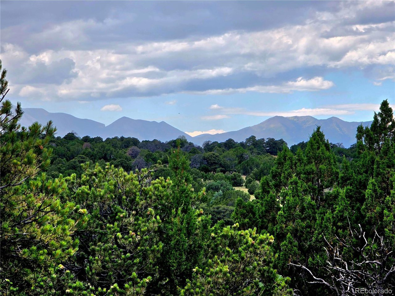 97 River Ridge Trail Walsenburg, CO 81089 - Photo 2 of 20 a view of a city with lush green forest