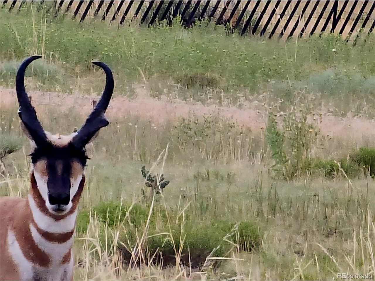 97 River Ridge Trail Walsenburg, CO 81089 - Photo 3 of 20 a bathroom with a sink and a mirror