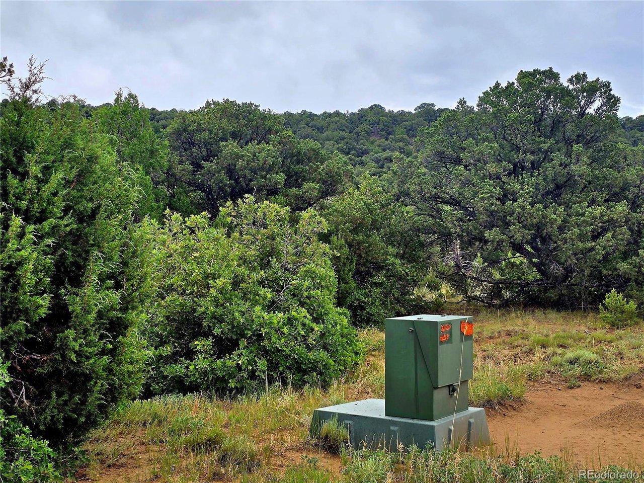 97 River Ridge Trail Walsenburg, CO 81089 - Photo 4 of 20 a view of a garden from a lake view