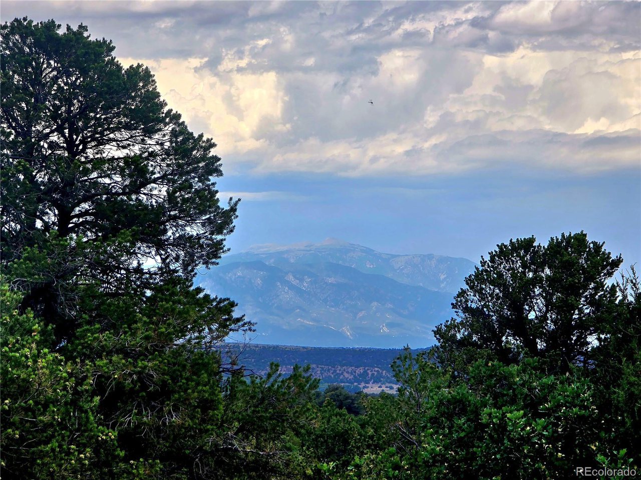 97 River Ridge Trail Walsenburg, CO 81089 - Photo 5 of 20 a view of a bunch of trees in a field