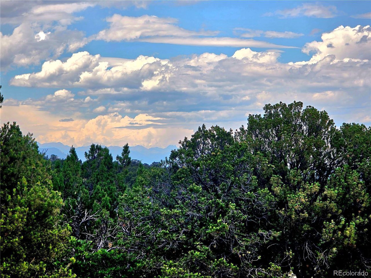97 River Ridge Trail Walsenburg, CO 81089 - Photo 6 of 20 a view of a city with lots of trees