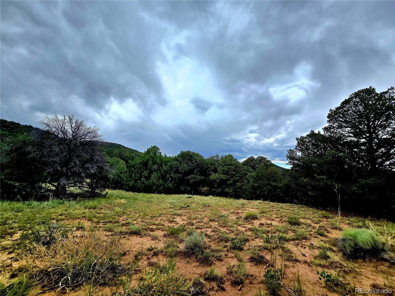 97 River Ridge Trail Walsenburg, CO 81089 - Photo 10 of 20 a view of a yard with an trees