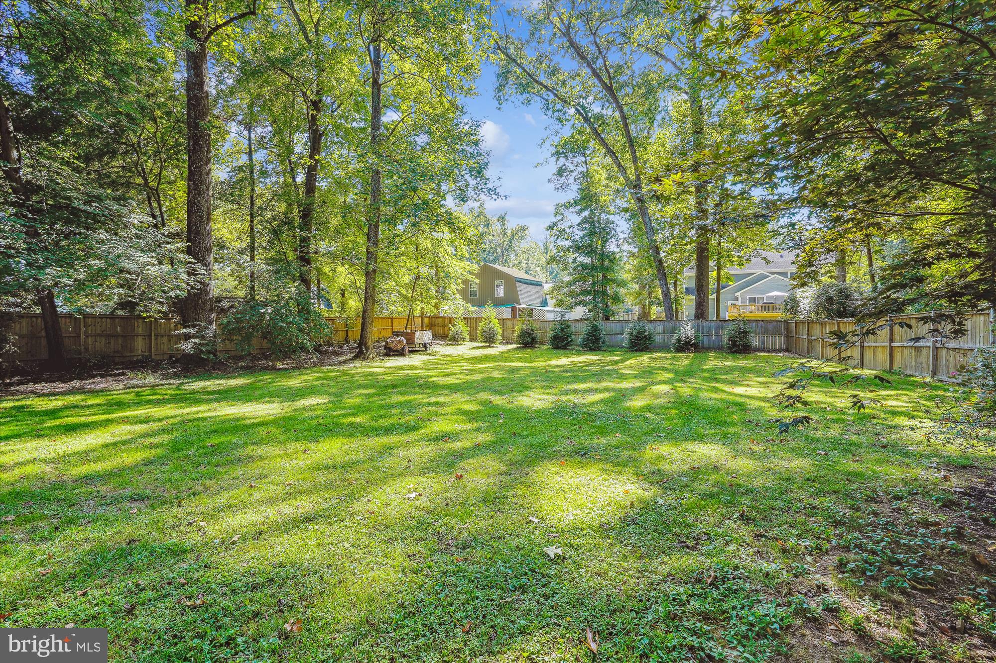 5742 Rolling Road Burke, VA 22015 - Photo 10 of 53 a view of a yard with a tree