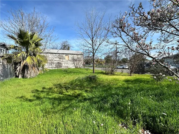 a view of a yard with a tree