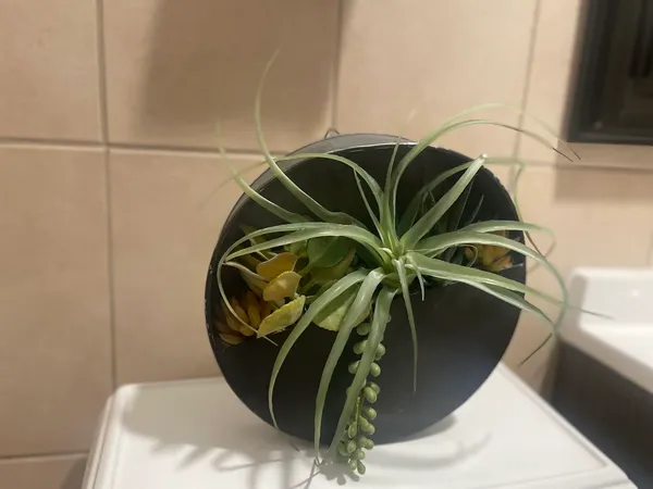 $2,400 | 5133 West Wrightwood Avenue, Unit 1, Chicago, IL 60639