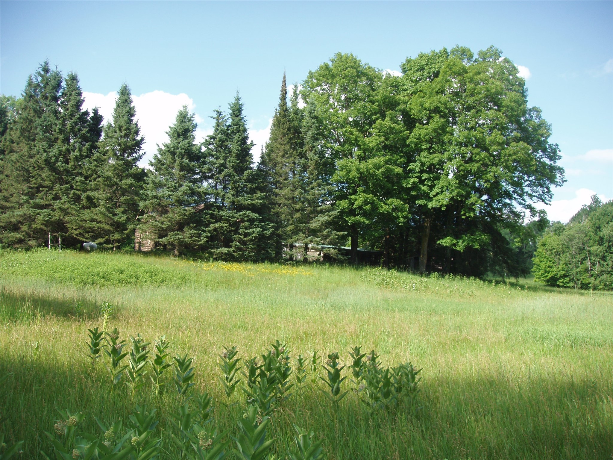 2460 County Hwy FF Butternut, WI 54514 - Photo 31 of 34