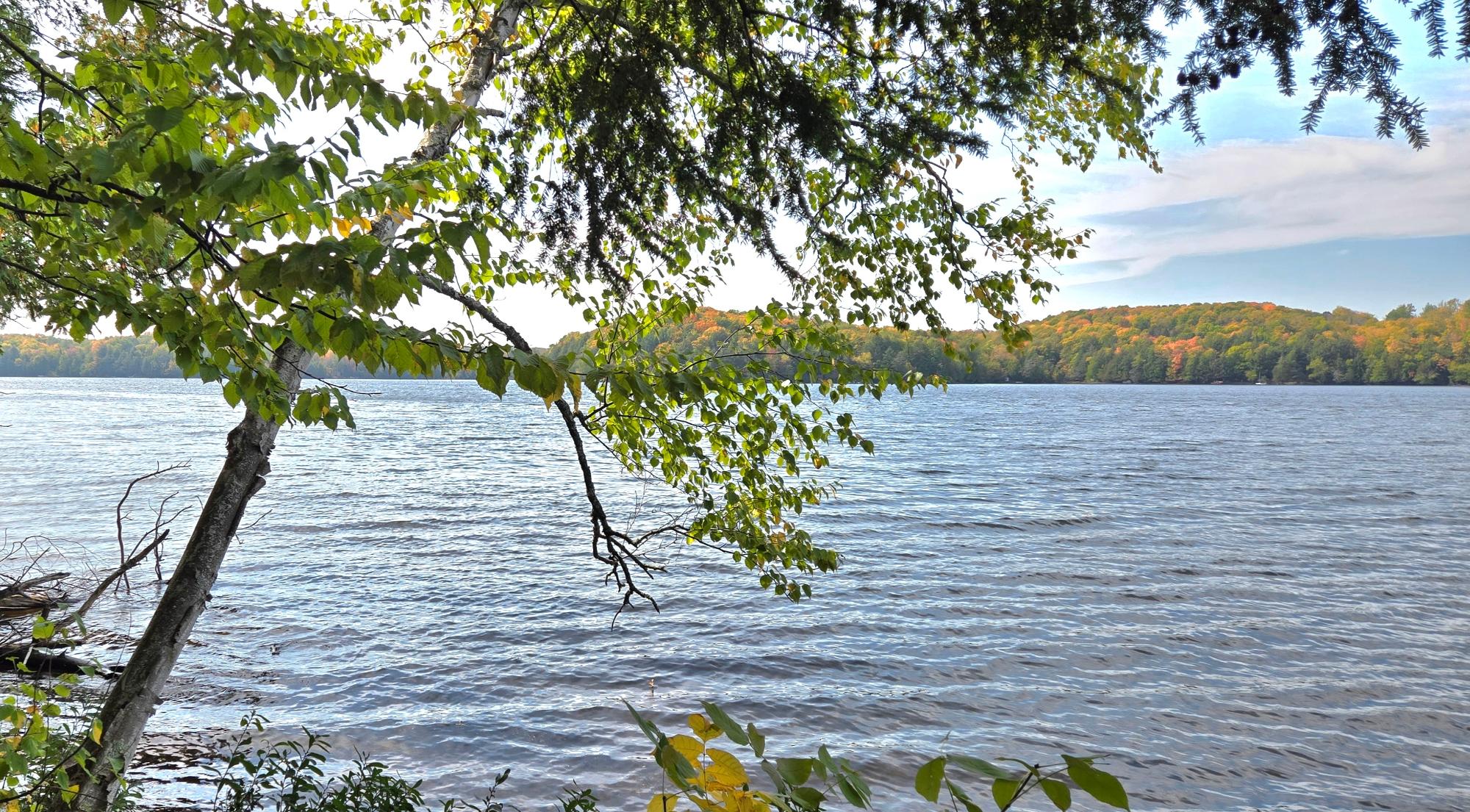 Lot 5 Bartsch Road Presque Isle, WI 54557 - Photo 4 of 48 Gallery Image 4