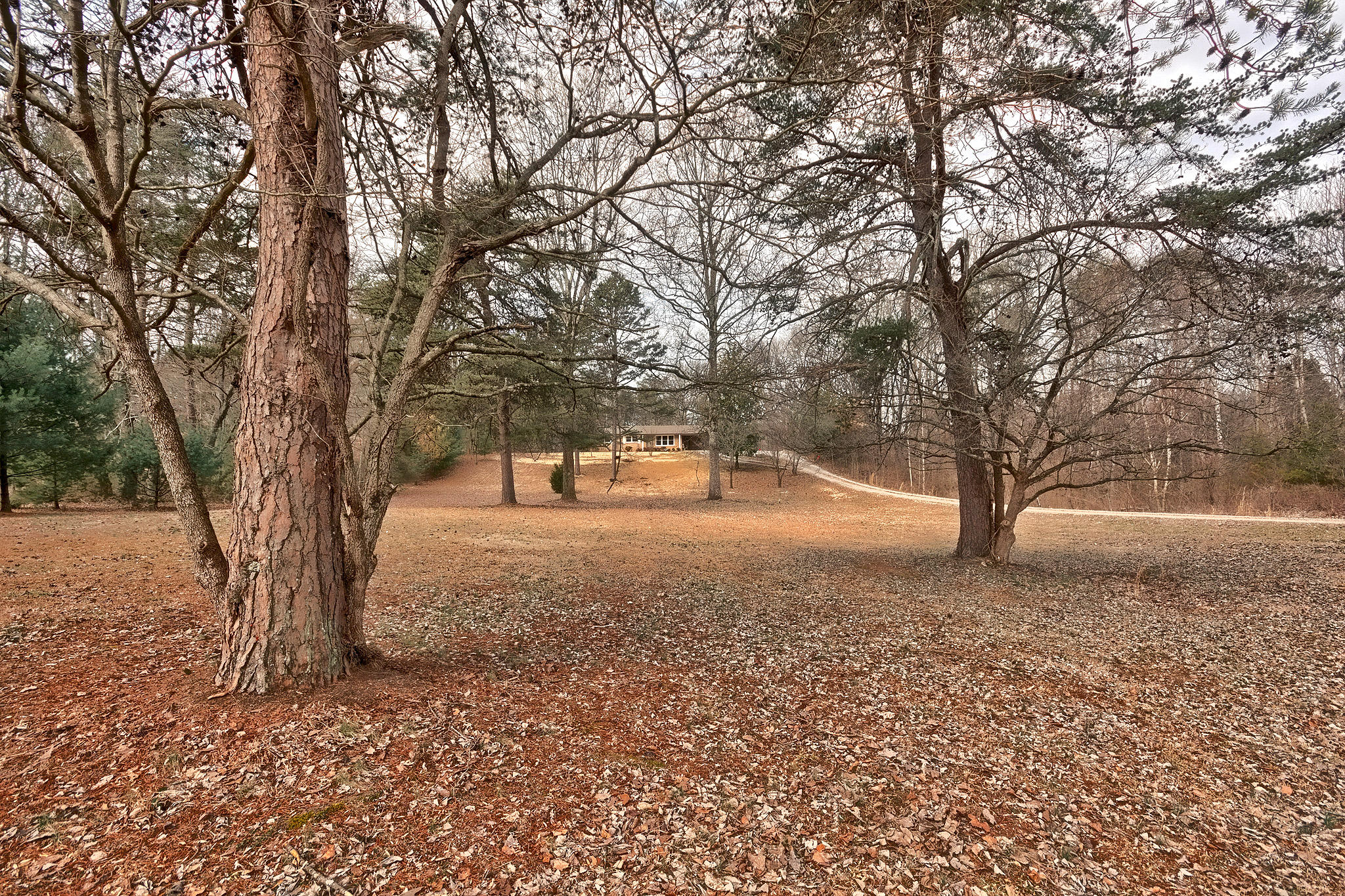 4800 Hilham Road Cookeville, TN 38506 - Photo 9 of 32 4275_7886_130375