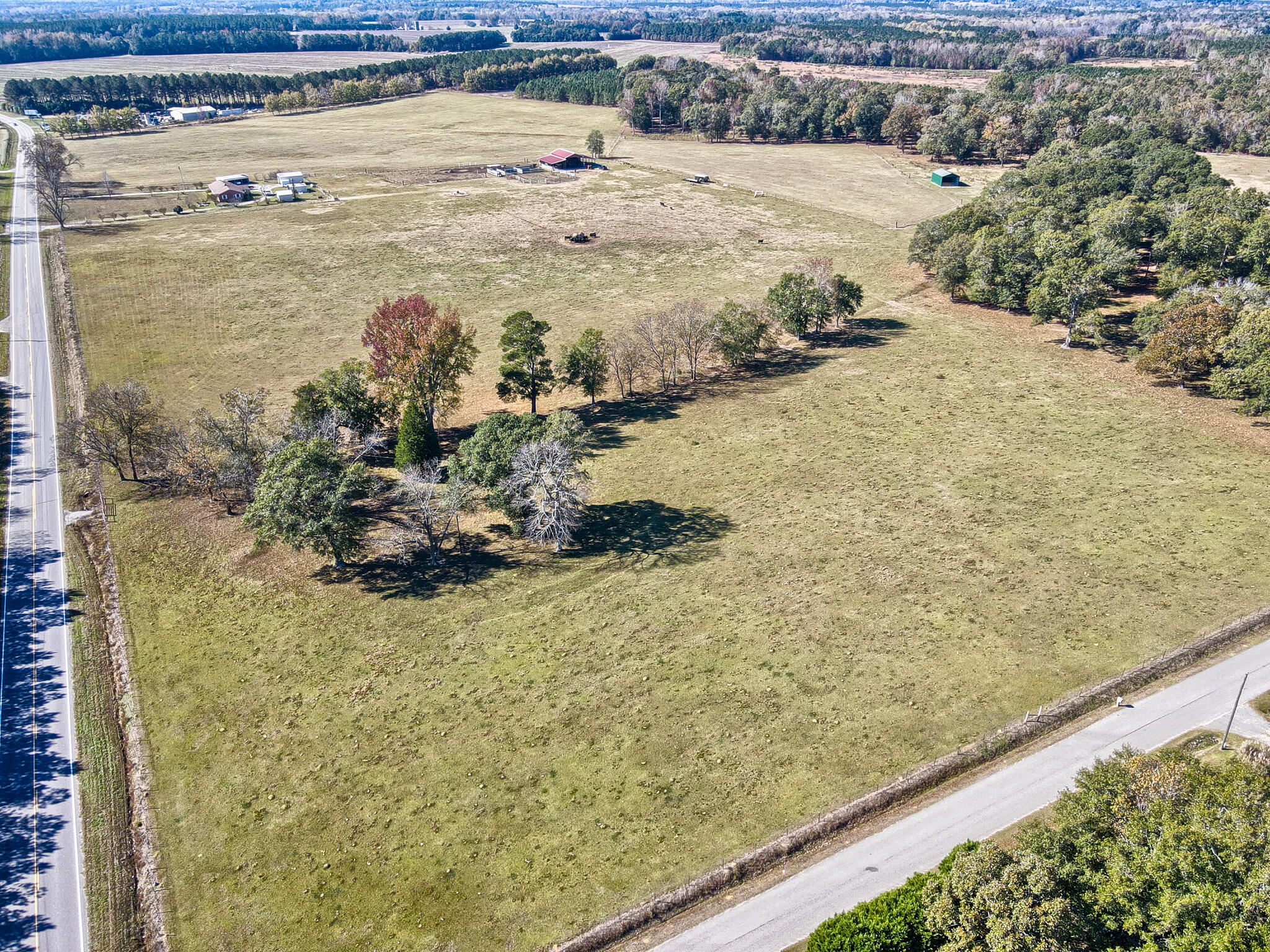 826 Binnicker Bridge Road Cope, SC 29038 - Photo 14 of 19