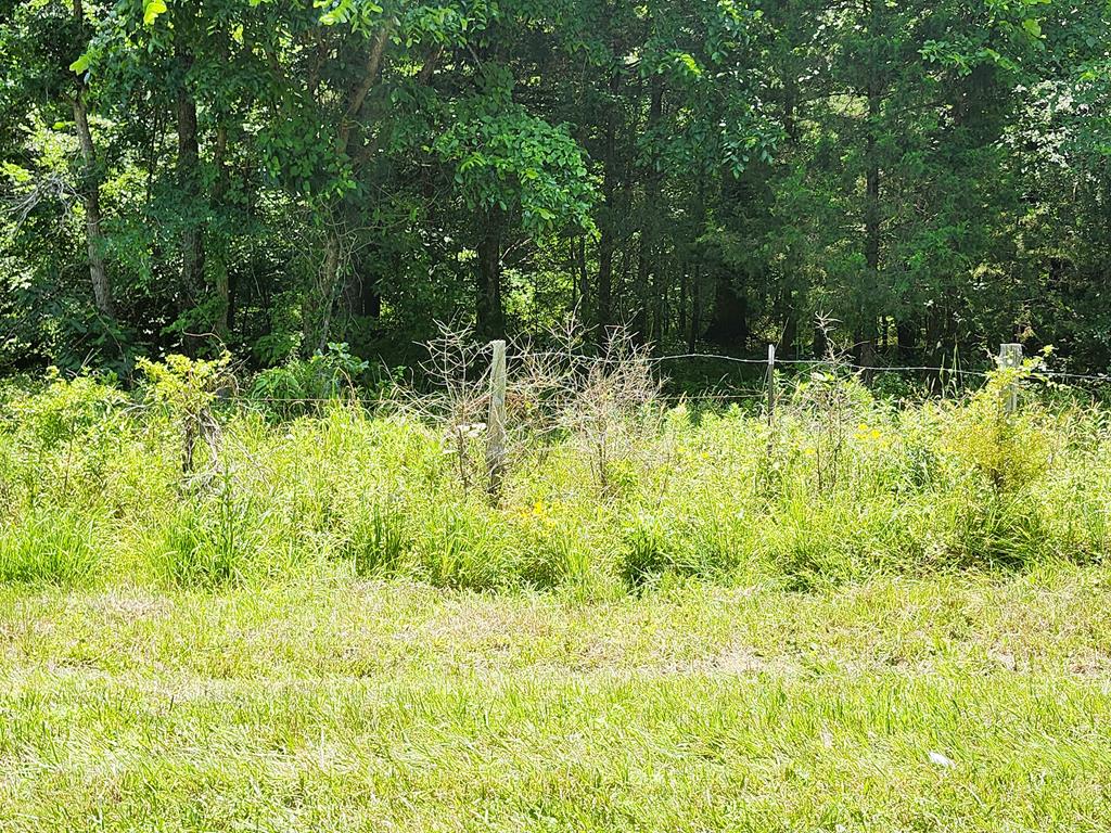 River Road Farmville, VA 23901 - Photo 19 of 21 Gallery Image 19