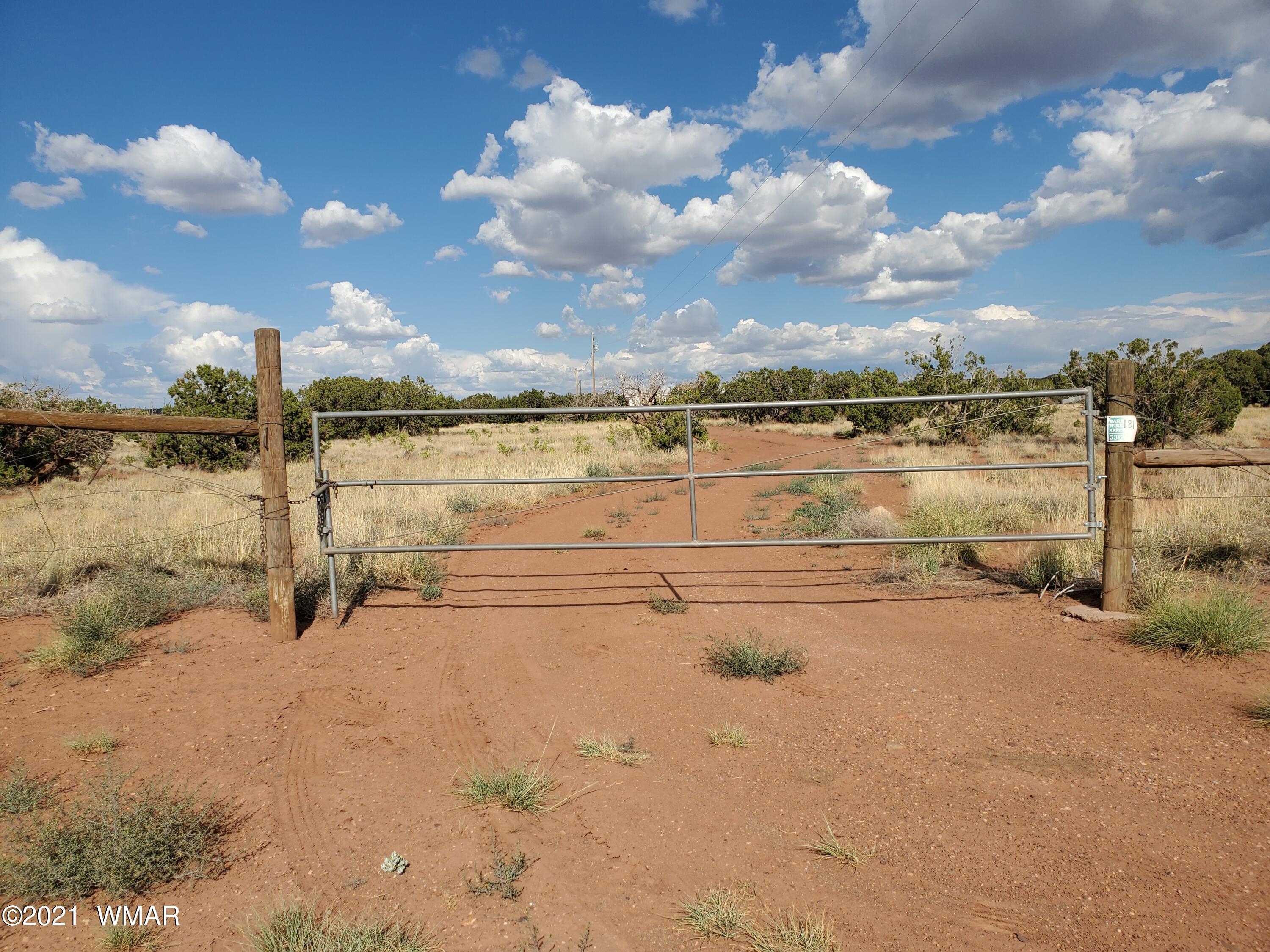 181 River Spings Ranch St. Johns, AZ 85936 - Photo 50 of 60