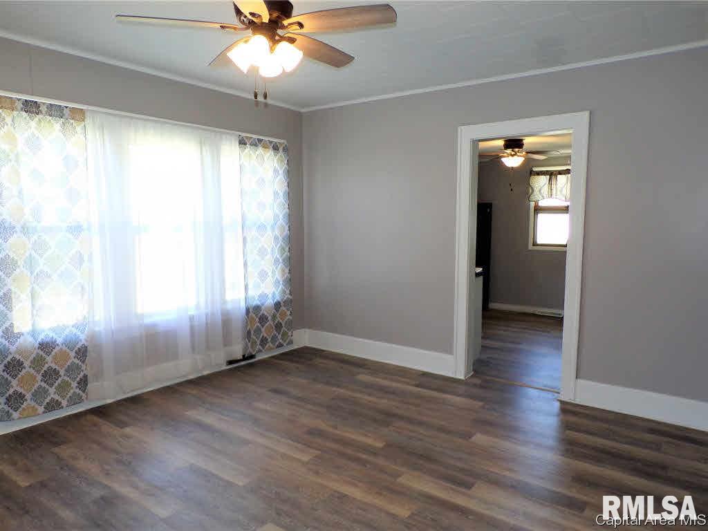 433 West Chestnut Street Oneida, IL 61467 - Photo 9 of 23 Gallery Image 9