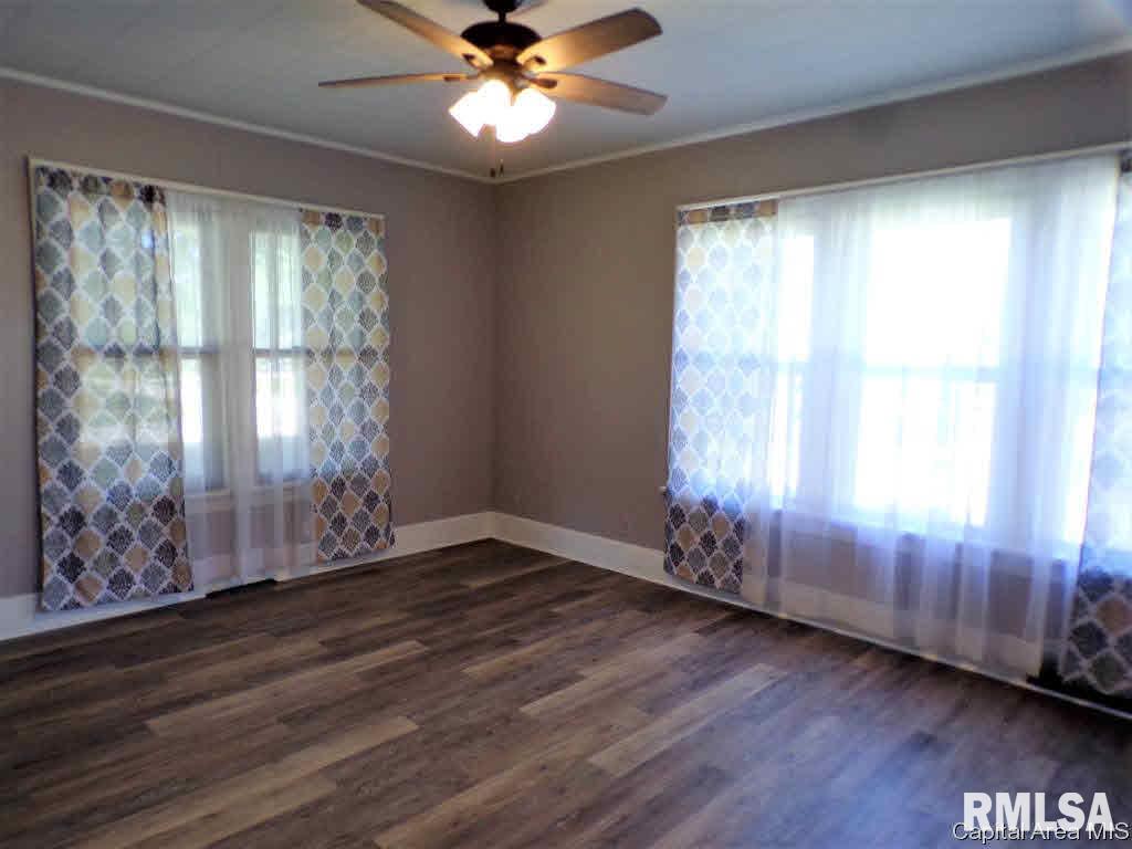 433 West Chestnut Street Oneida, IL 61467 - Photo 10 of 23 Gallery Image 10