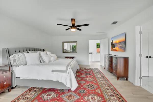 a view of a backyard with potted plants and a large tree
