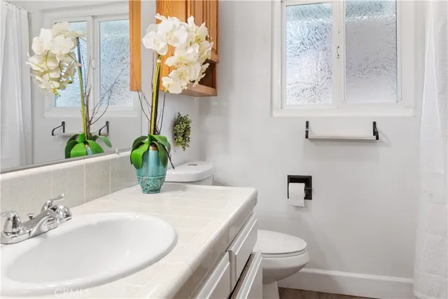 a bathroom with a sink and toilet