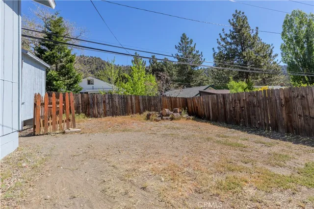 a view of a backyard with a potted plant and a large tree