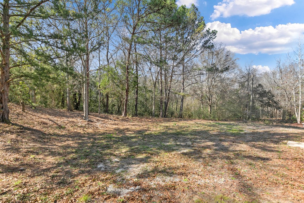 301 Larkin Street Enterprise, AL 36330 - Photo 18 of 21