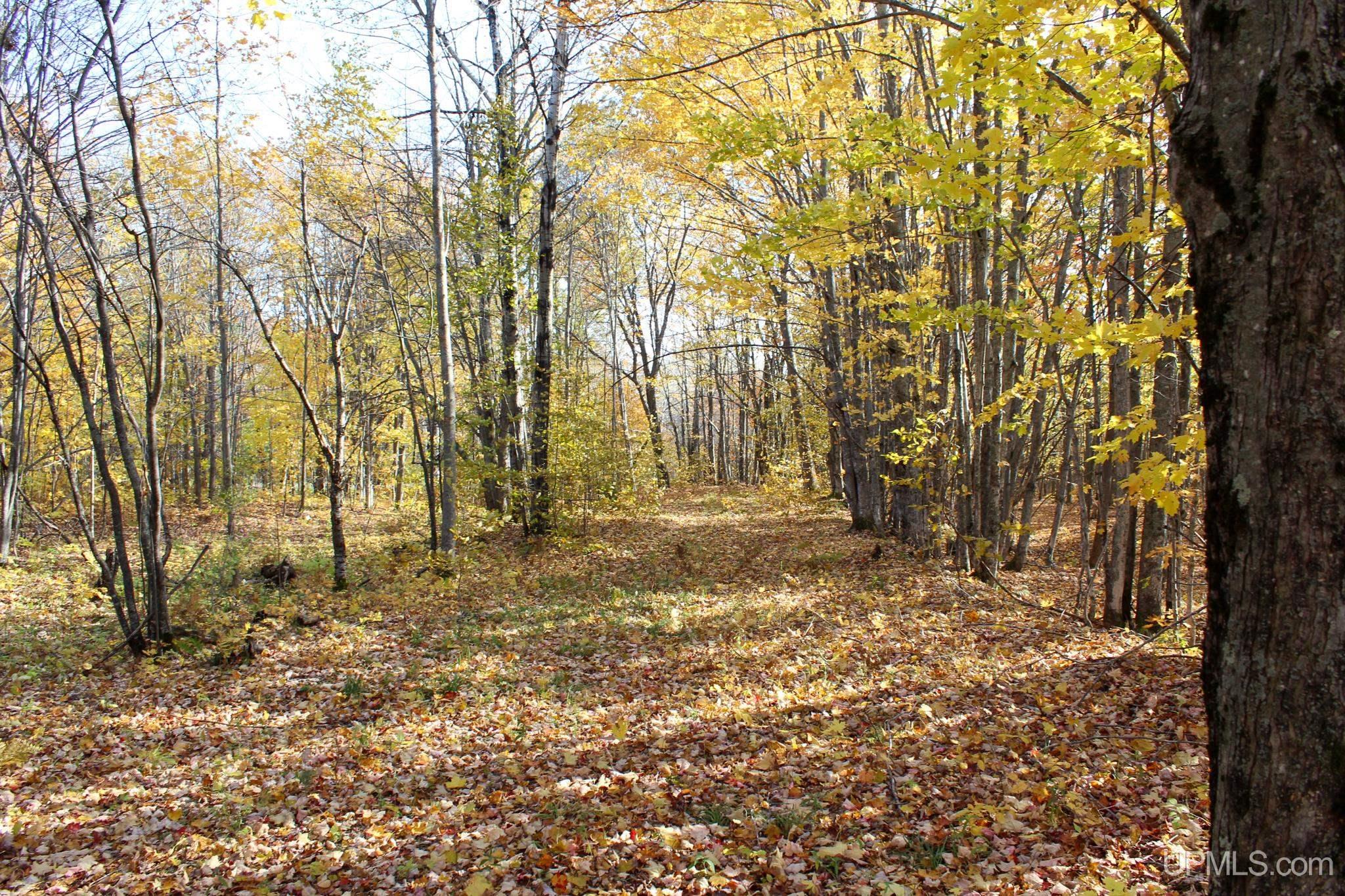 Tbd Pike River Road Chassell, MI 49916 - Photo 9 of 57 Gallery Image 9