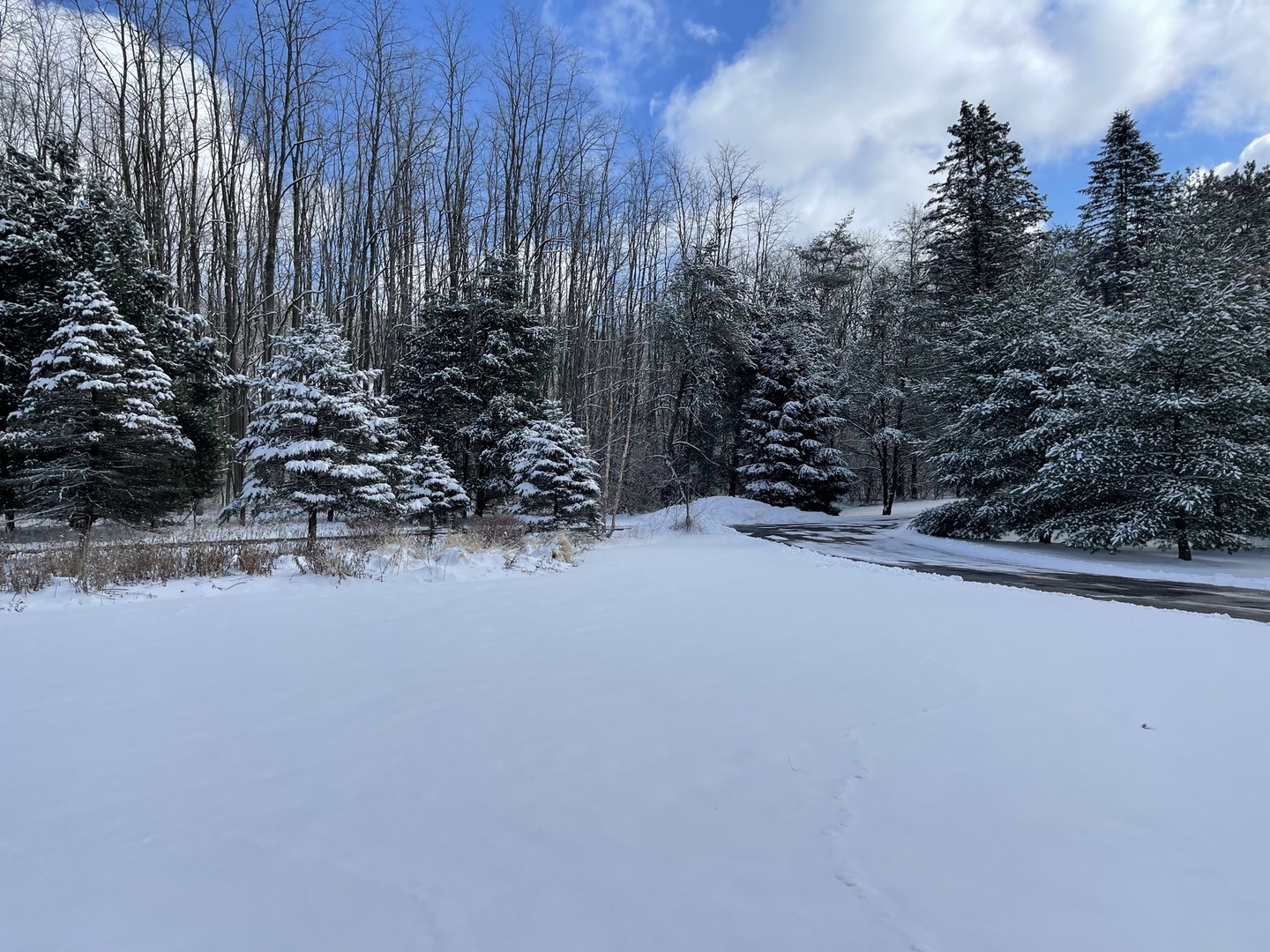 8702 Bull Valley Road Bull Valley, IL 60098 - Photo 2 of 30 a view of a yard with trees