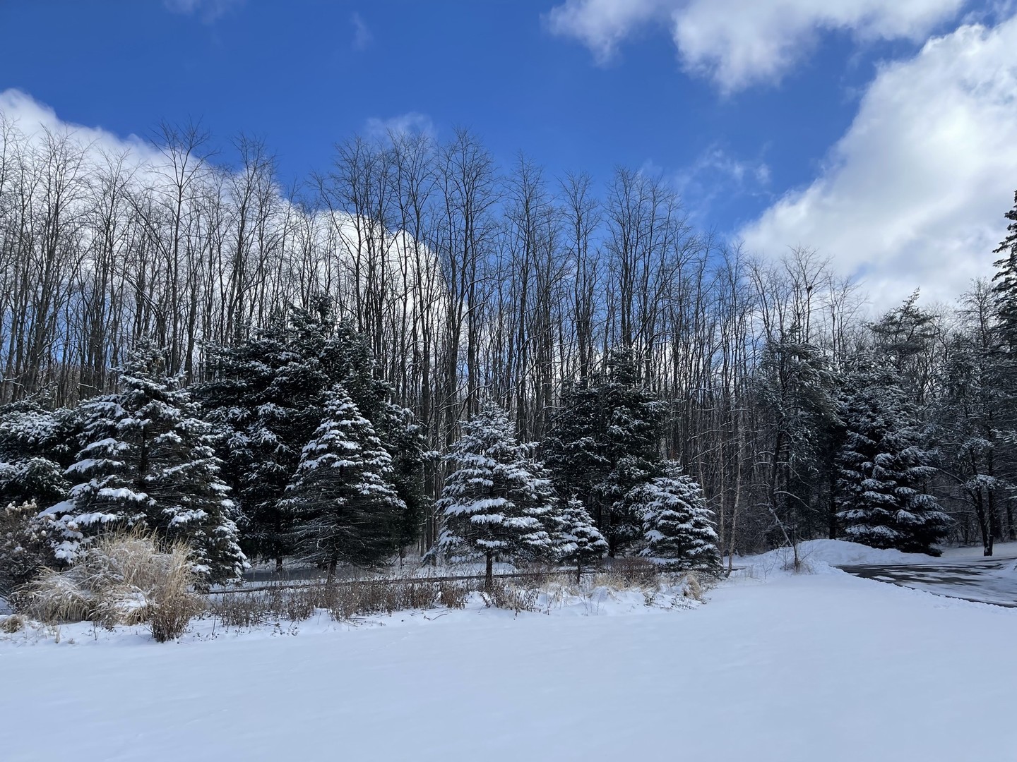 8702 Bull Valley Road Bull Valley, IL 60098 - Photo 27 of 30 a view of a yard with wooden fence