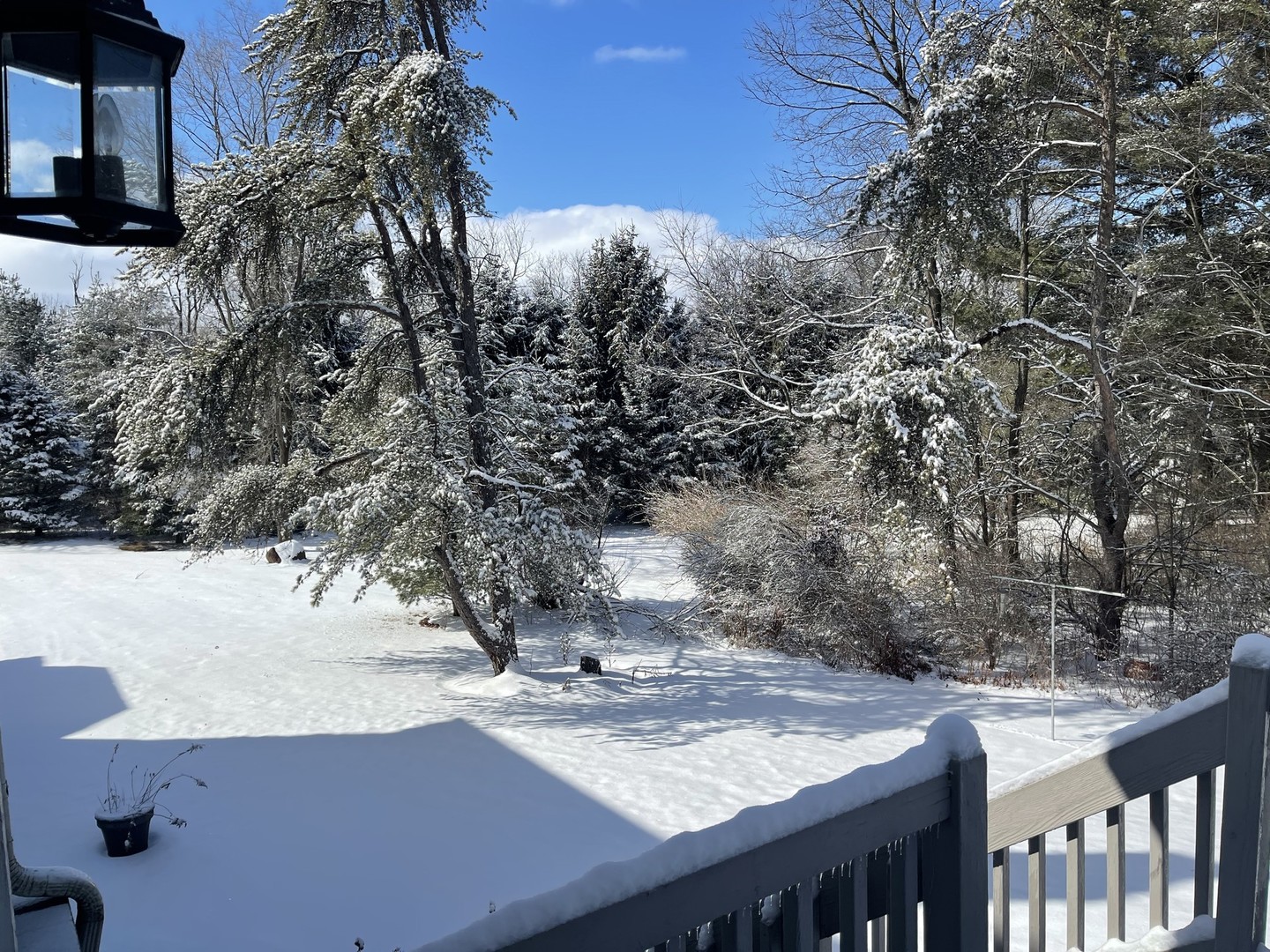 8702 Bull Valley Road Bull Valley, IL 60098 - Photo 29 of 30 a view of a backyard with wooden fence