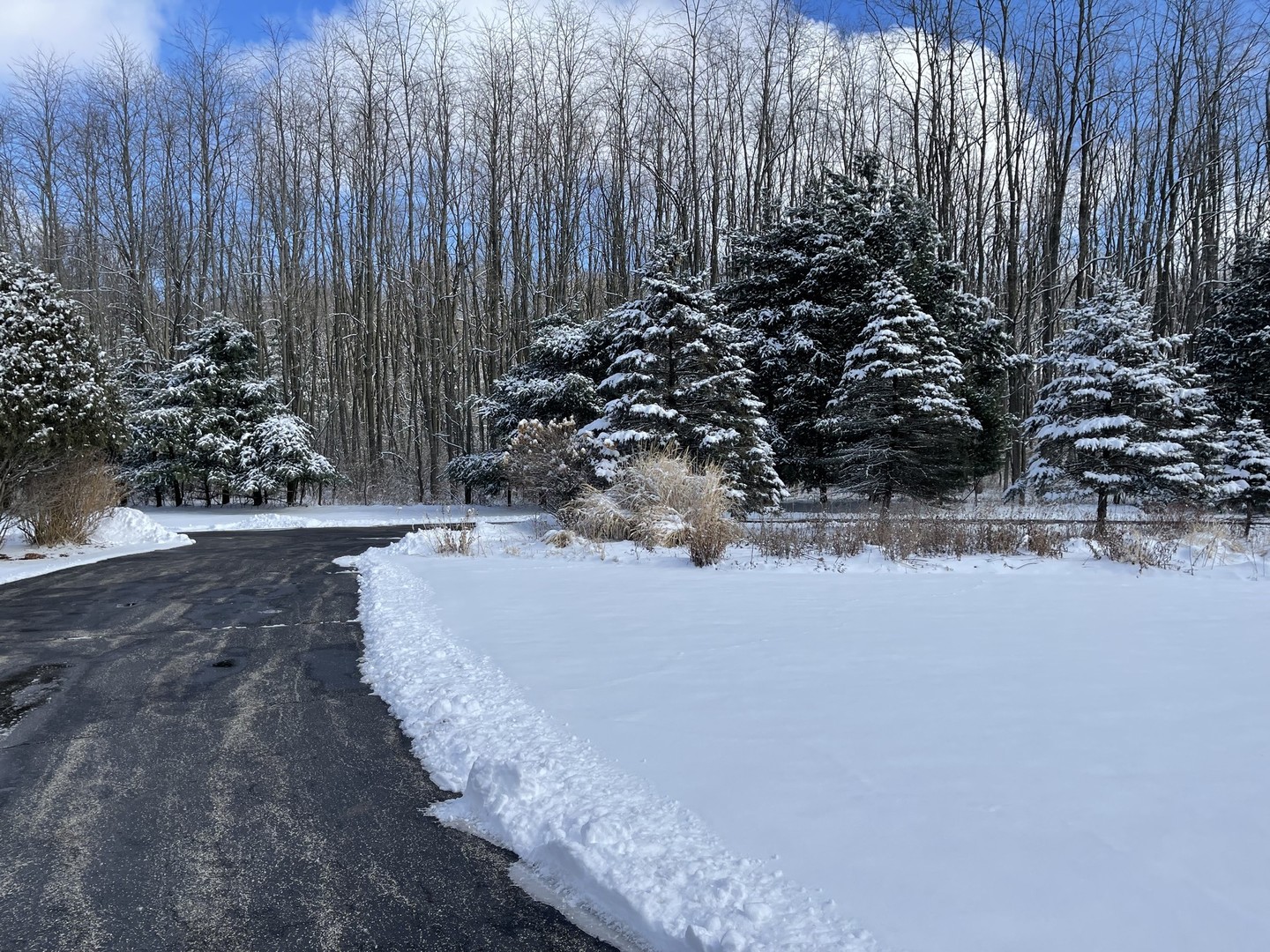 8702 Bull Valley Road Bull Valley, IL 60098 - Photo 3 of 30 a view of a yard with trees