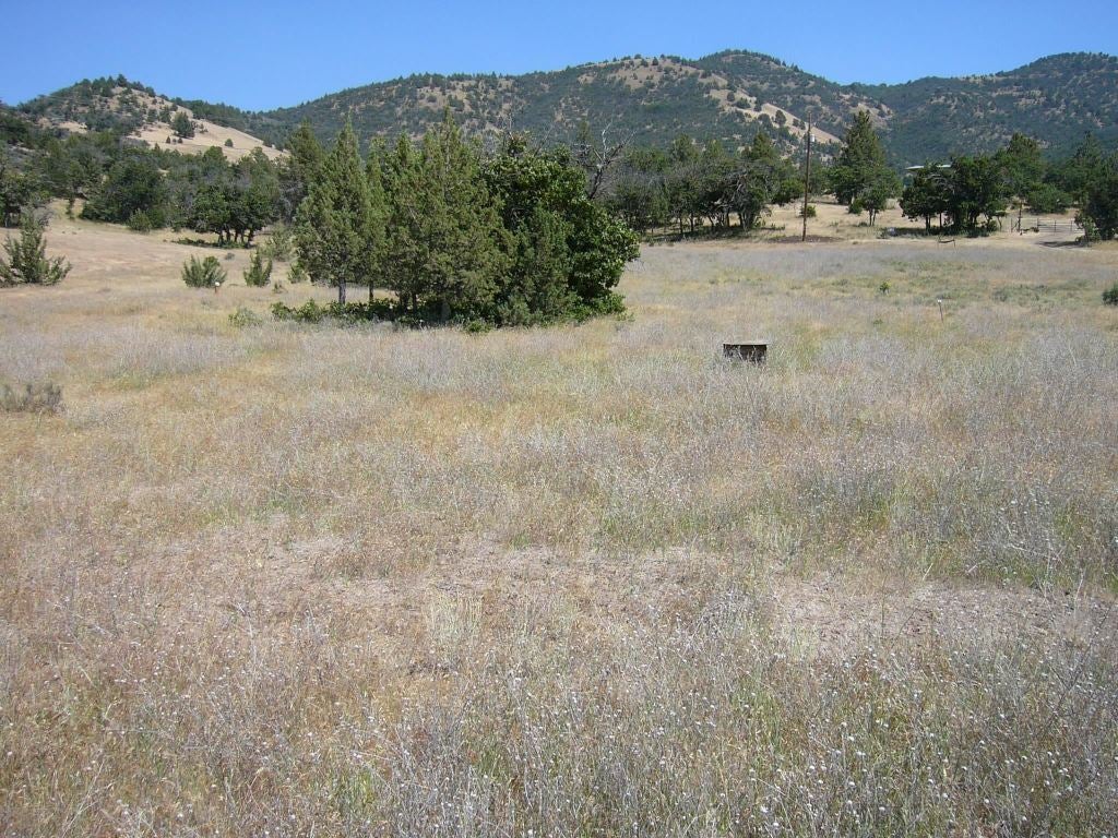 10 Acres Omega Road Montague, CA 96064 - Photo 11 of 16 Gallery Image 11
