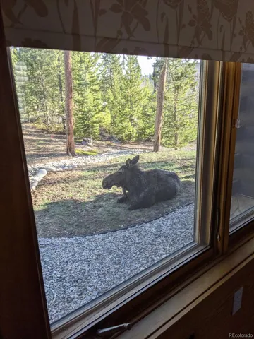 $2,395,000 | 114 Gcr 4624 Grand Lake, Grand Lake, CO 80447