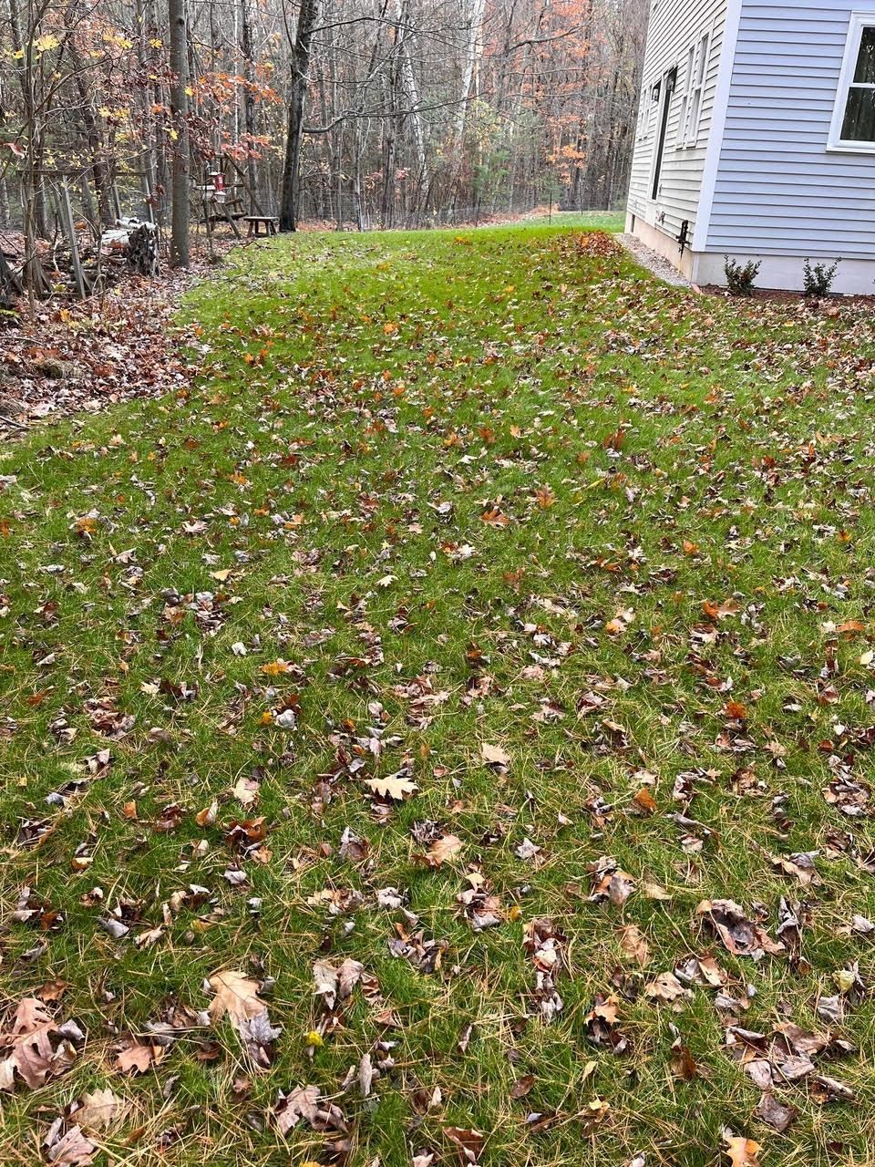 61 Russell Hill Road Brookline, NH 03033 - Photo 5 of 41