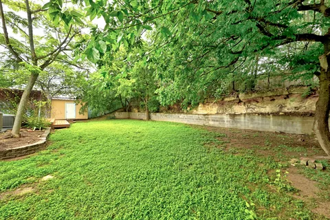 a view of yard with green space