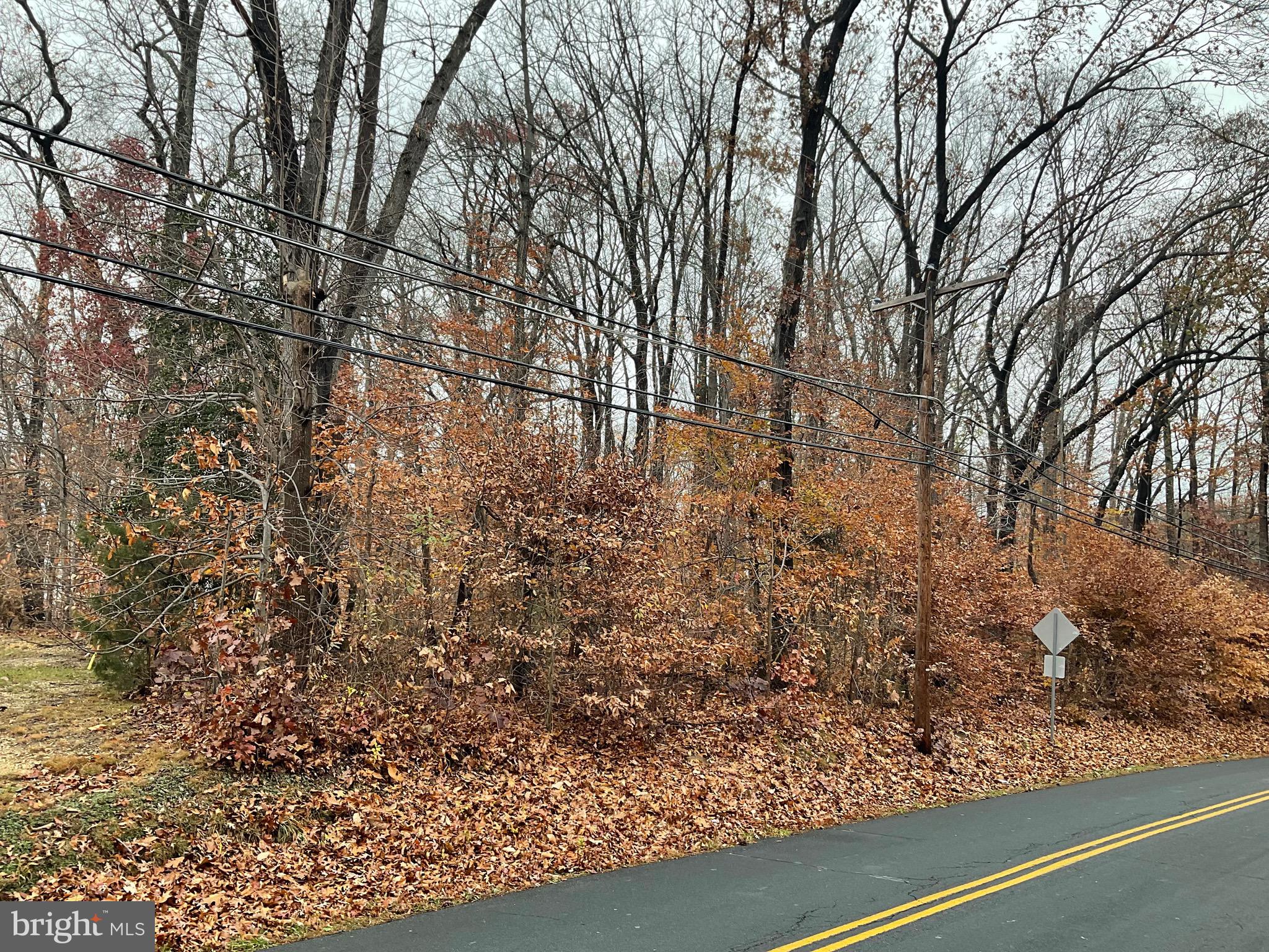 3620-3628 Sewell Road Abingdon, MD 21009 - Photo 4 of 4 a view of a yard with a tree