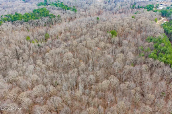 a view of a dry yard